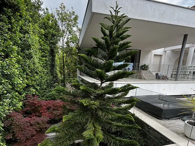 Jardin avec piscine