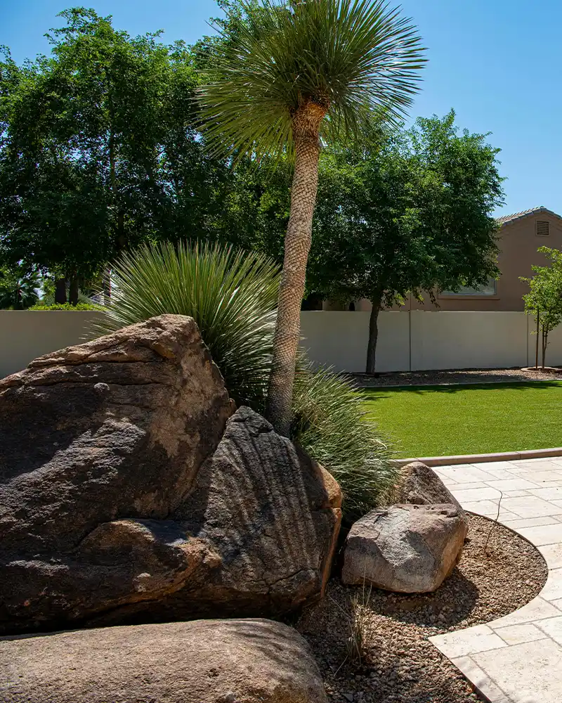Sébastien CATTANI, jardinier paysagiste à Peymeinade près de Cannes et Grasse